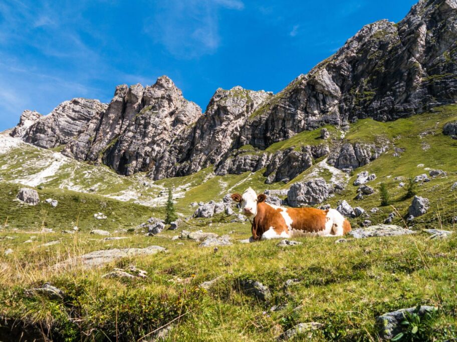 Wandern in Bad Kleinkirchheim Zunderwand