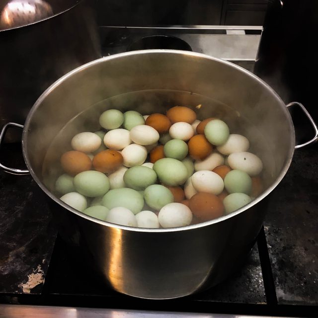 Hinteregger_Nockberge_Familienhotel_Biobauernhof_StOswald_Austria_alps_Hotel_Urlaubambauernhof_Ostern-auszeit_greencare-2