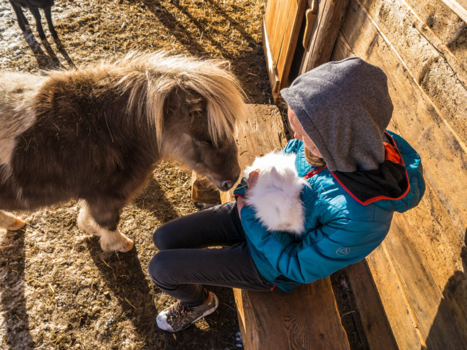 Streicheltiere Urlaub am Bauernhof, Auszeit