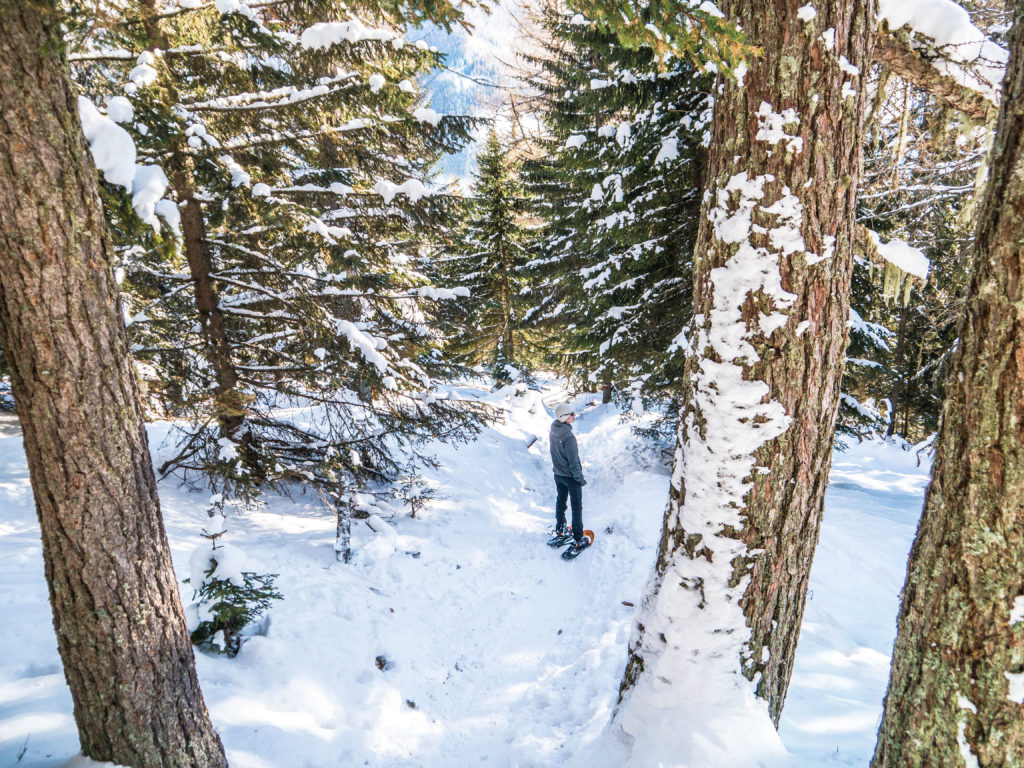 Schneeschuhwanderung