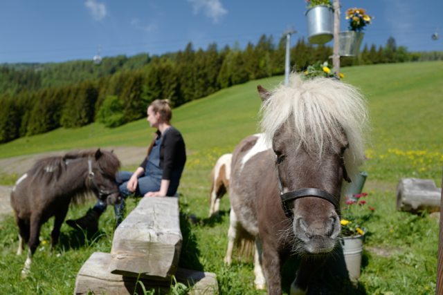 Bauernhofurlaub