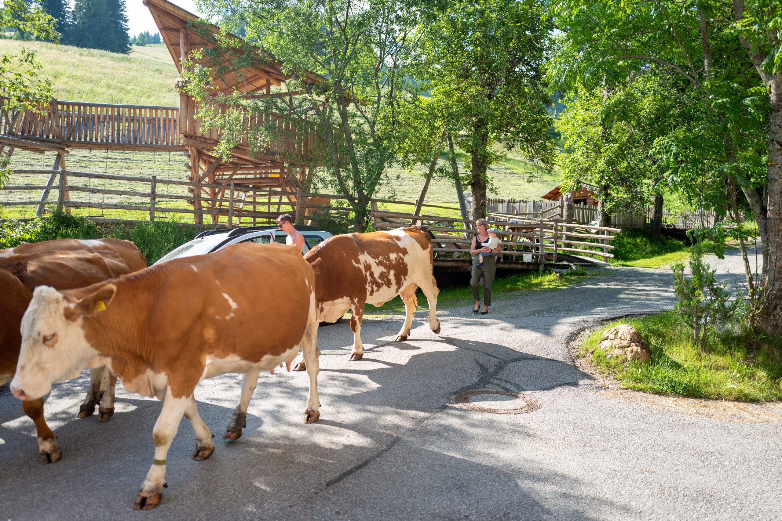 Hotel Bad Kleinkirchheim