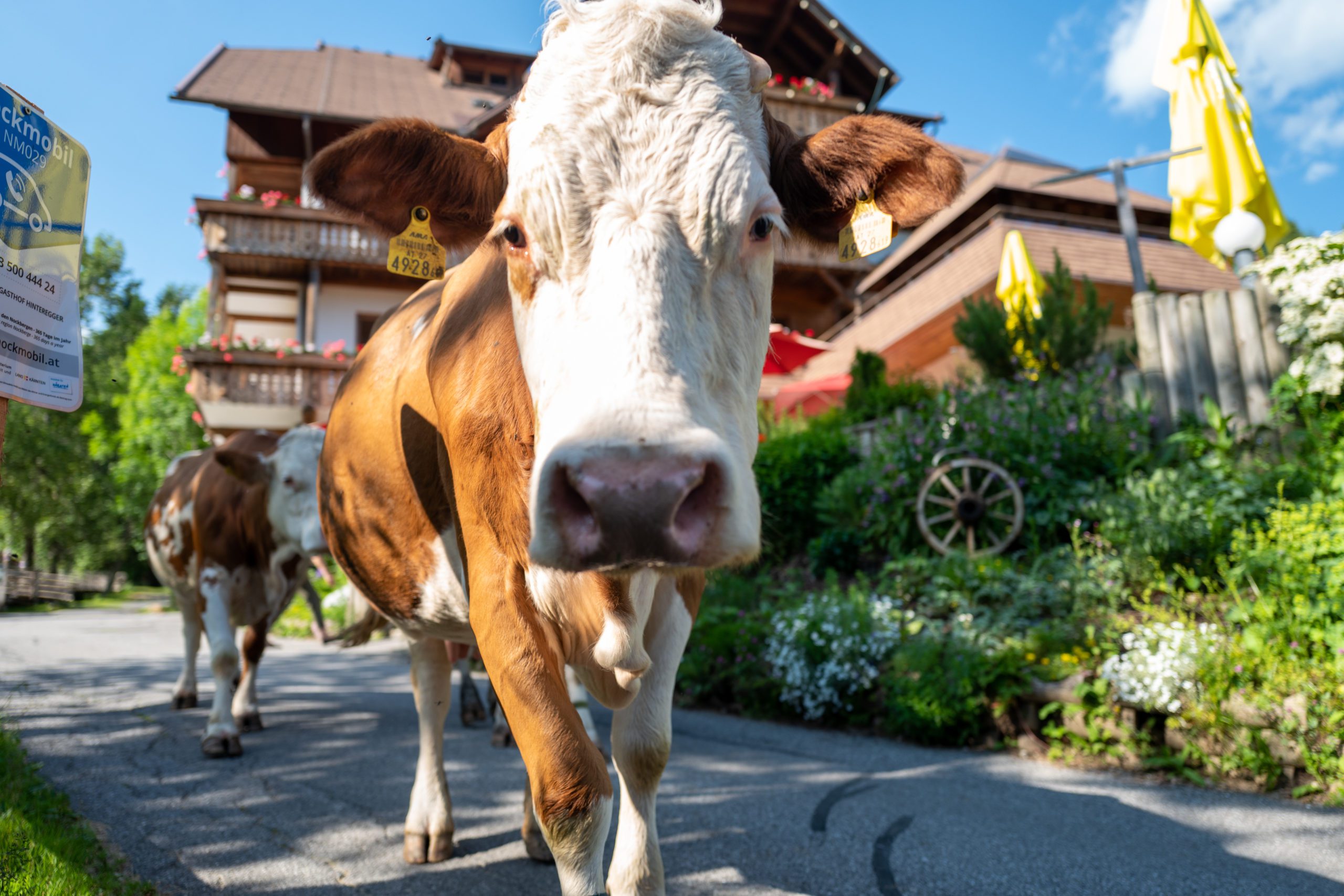 Gasthof Hinteregger