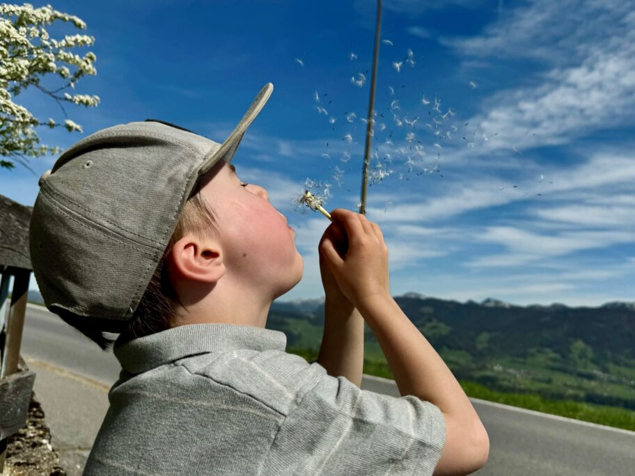 Frühling, Löwenzahn, Kind ein Kind welches freudig den Löwenzahn pustet