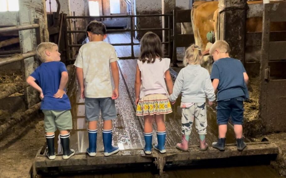 stall Kinder im Stall